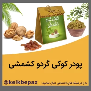پودر کوکی گردو کشمشی